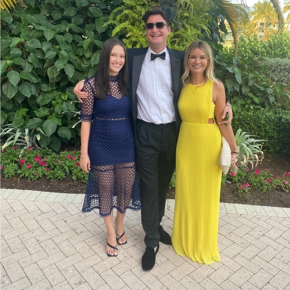 BCBGMaxazaria Column pleated Dress Gown in Yellow, Size 2 - Picture 3 of 7